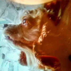 Meet your Posher, Deb